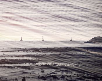 SalÉ /22 von Stanislas Ledoux