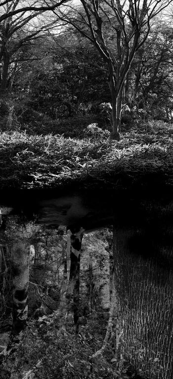 Reflecting landscape 08 by Yasuo Kiyonaga