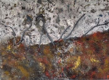 L'amazonie brûle !! by Marie Kerrenneur