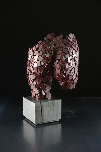 Eclipse by Nicolas Desbons