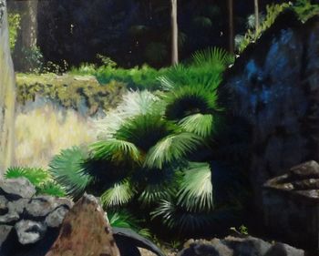 Etude n°1 : la lumière dans les palmiers éventail by Ivan Sollogoub