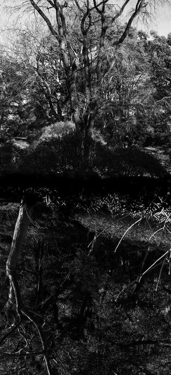 Reflecting landscape 09 par Yasuo Kiyonaga