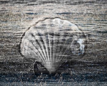 SalÉ /10 by Stanislas Ledoux