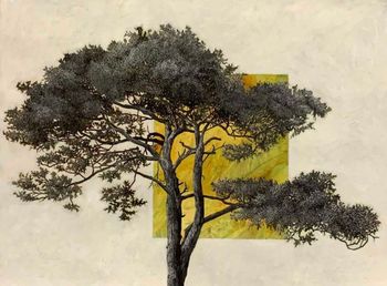 Portrait d’arbre 14351203 (1) by Cyrille Borgnet Dupont