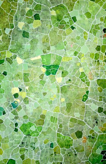 Evasions von Sophie Cantou