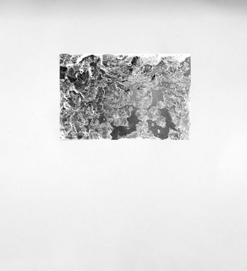 Lcd helio gravure III by Juliana Borinski