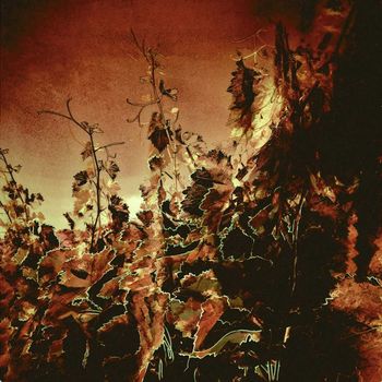 Les Vibrations de la vigne #1 by Gaëlle Cueff