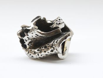 Eponge boulée par Le Joubioux