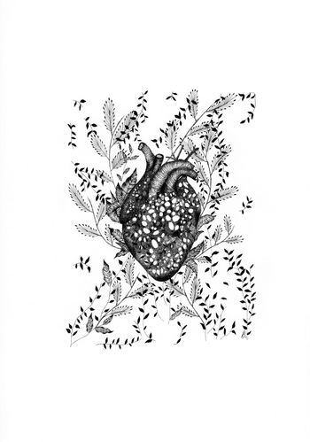 Corfolium by Clémentine Vauchelet