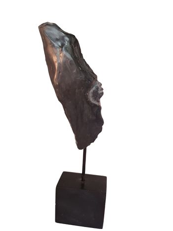 L'aplomb de la jeunesse by Laure Polin