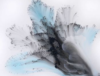 Nature 216 von Muriel Napoli