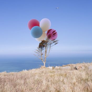 Rêverie enfantine von Hélène Vallas