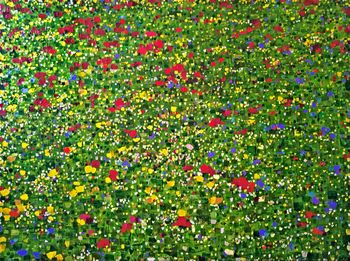 Fleurs de saison par Sophie Cantou