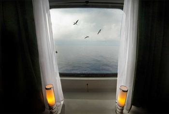 La cabine aux oiseaux von Hélène Vallas