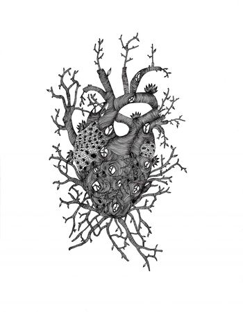 Cor lignum by Clémentine Vauchelet