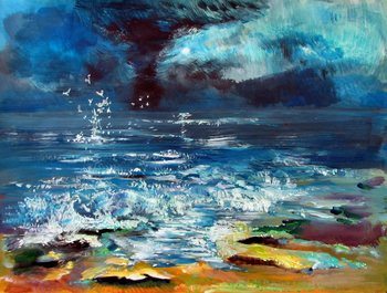 Fous du Cap von Thibault Lepeudry