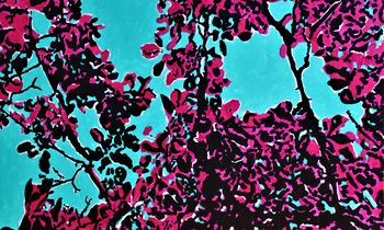 Woods 01 par Claire Moog