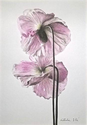 Deux pavots von Nathalie Si Pié
