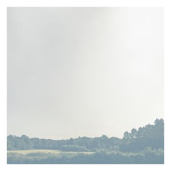 La forêt au loin par Nicolas Le Beuan Bénic