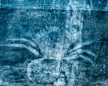 SalÉ /9 by Stanislas Ledoux