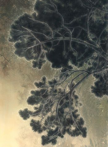 Les Vibrations de la forêt #31 by Gaëlle Cueff