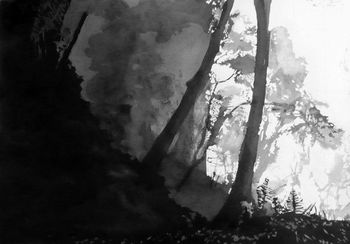 Deux fougères von Franck Le Boulicaut