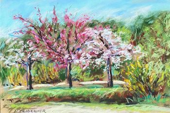 Cerisiers en fleurs à Giverny by Michel Cribelier