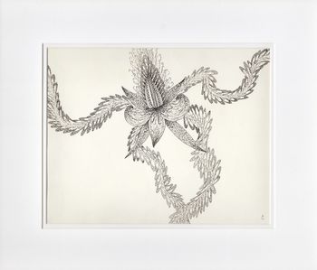 Floe tentaculum by Clémentine Vauchelet