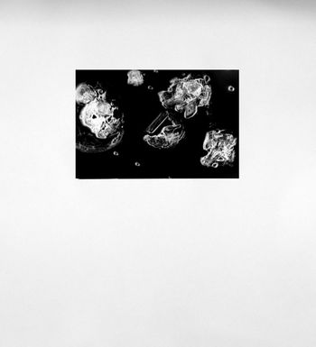 Lcd helio gravure II by Juliana Borinski