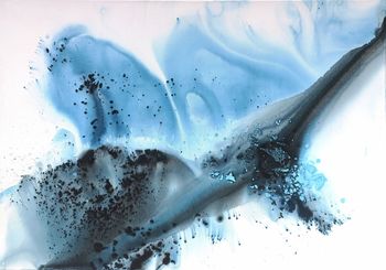 Nature 249 par Muriel Napoli