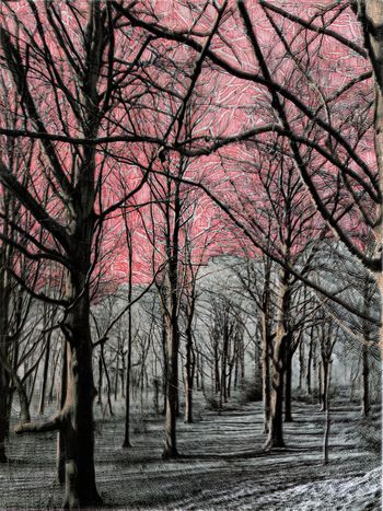 Les Vibrations de la forêt #11 by Gaëlle Cueff