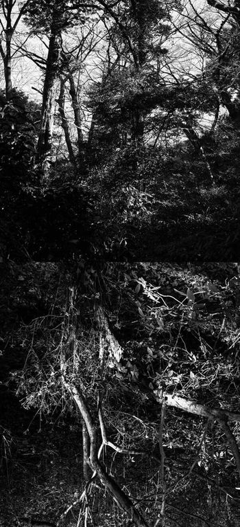 Reflecting landscape 11 by Yasuo Kiyonaga