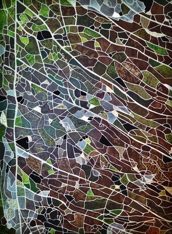 Evasion by Sophie Cantou