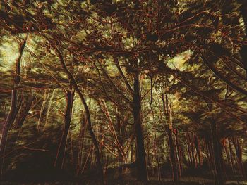 Les Vibrations de la forêt #34 by Gaëlle Cueff