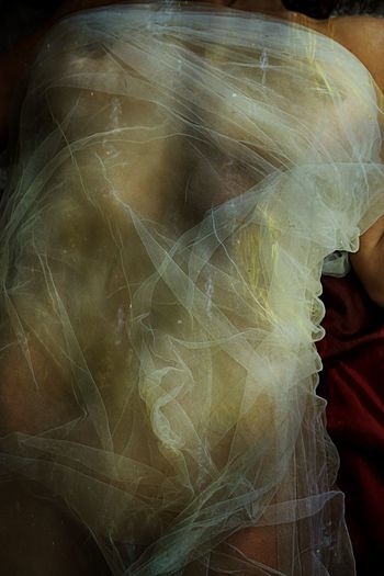 GAIA par Thalie B. Vernet