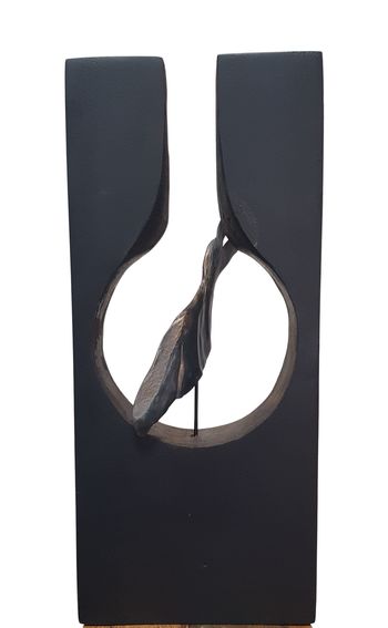 Evasion by Laure Polin