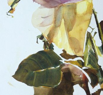 Rose diaphane II by Franck Le Boulicaut