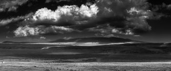 African plains by Levi Mendes