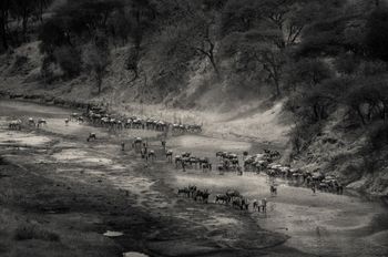 Dry crossing von Levi Mendes