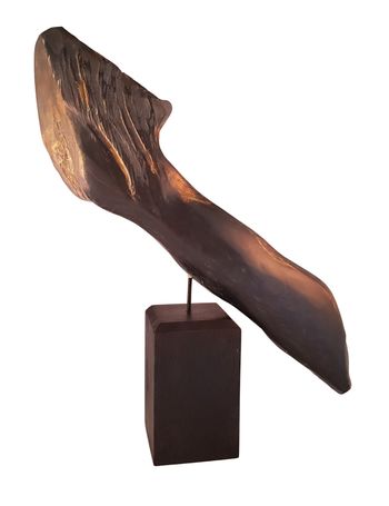 Megaptere by Laure Polin