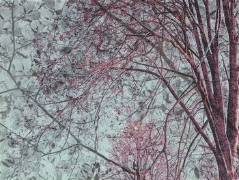 Les Vibrations de la forêt #36 by Gaëlle Cueff