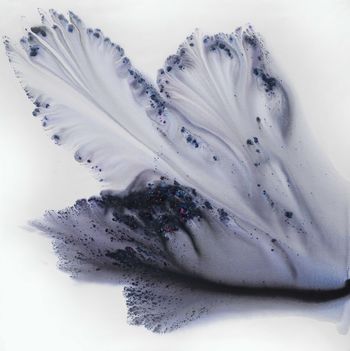 Nature 166 von Muriel Napoli