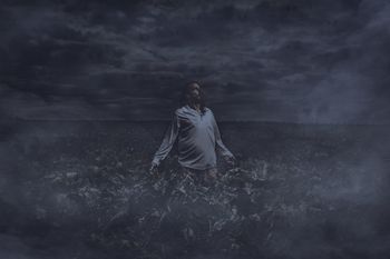 They’re all gazing at me von Idan Wizen