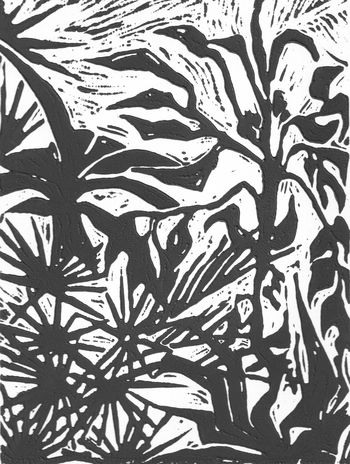 Les yuccas by CATHERINE GAJAC