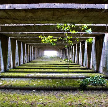 Le figuier, base sous marine de bordeaux von F. LORIEN
