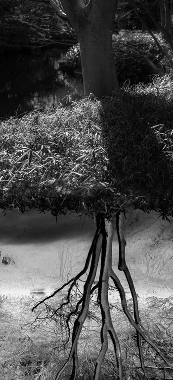 Reflecting landscape 06 by Yasuo Kiyonaga