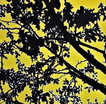 Woods 02 par Claire Moog