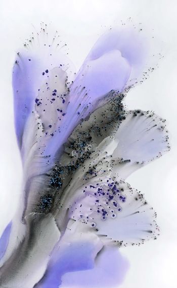 Nature 122 von Muriel Napoli