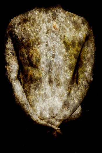 Sobek by Thalie B. Vernet