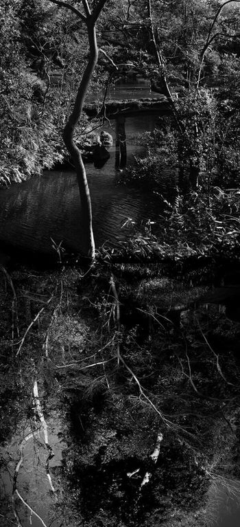 Reflecting landscape 07 by Yasuo Kiyonaga